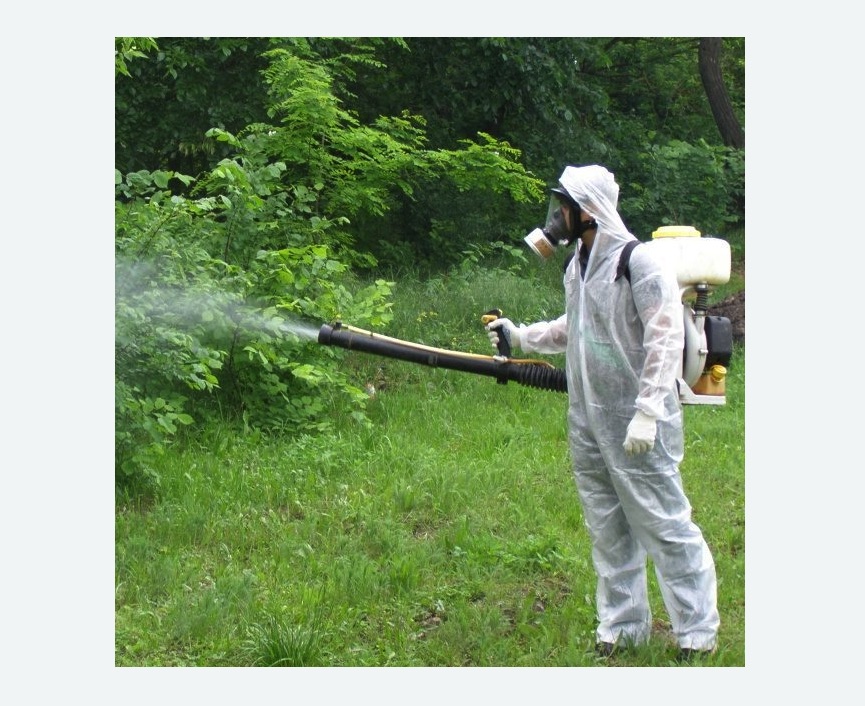 обработка территории от клещей в Камышине