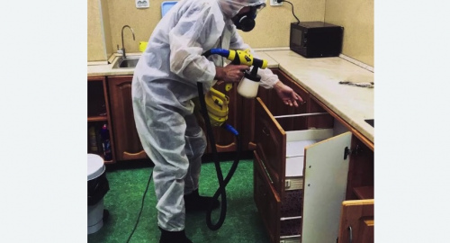 Уничтожение насекомых в квартире. Камышин