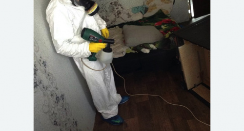 Обработка квартир от насекомых в Камышине