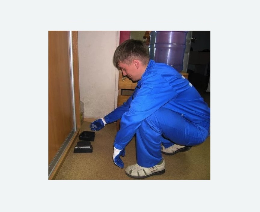 Дератизация крыс в Камышине