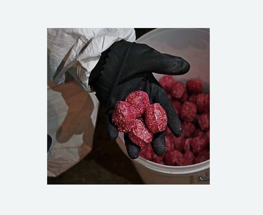 Обработка от крыс в Камышине