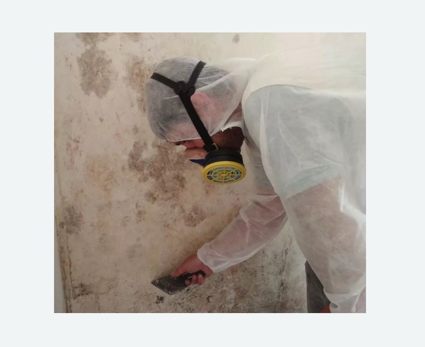 Обработка стен от плесени в Камышине