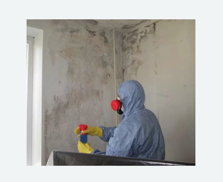 Удаление плесени в квартире в Камышине