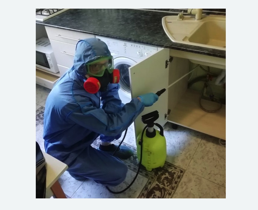 обработка от муравьев в квартире в Камышине