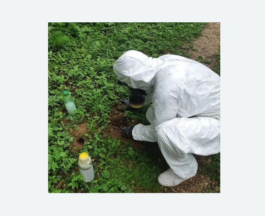 уничтожение кротов на участке в Камышине