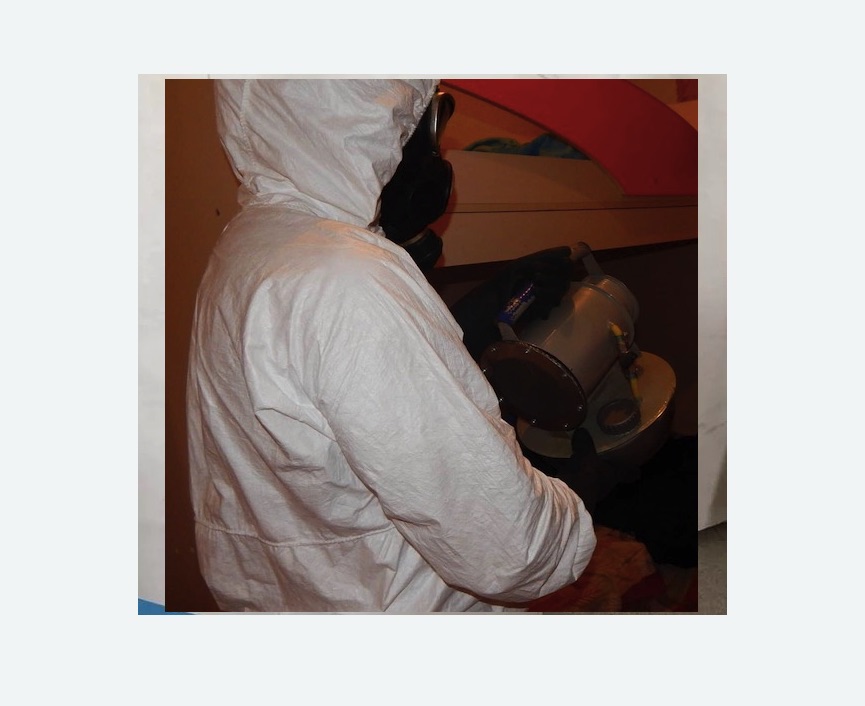 Дезинфекция от муравьев в Камышине