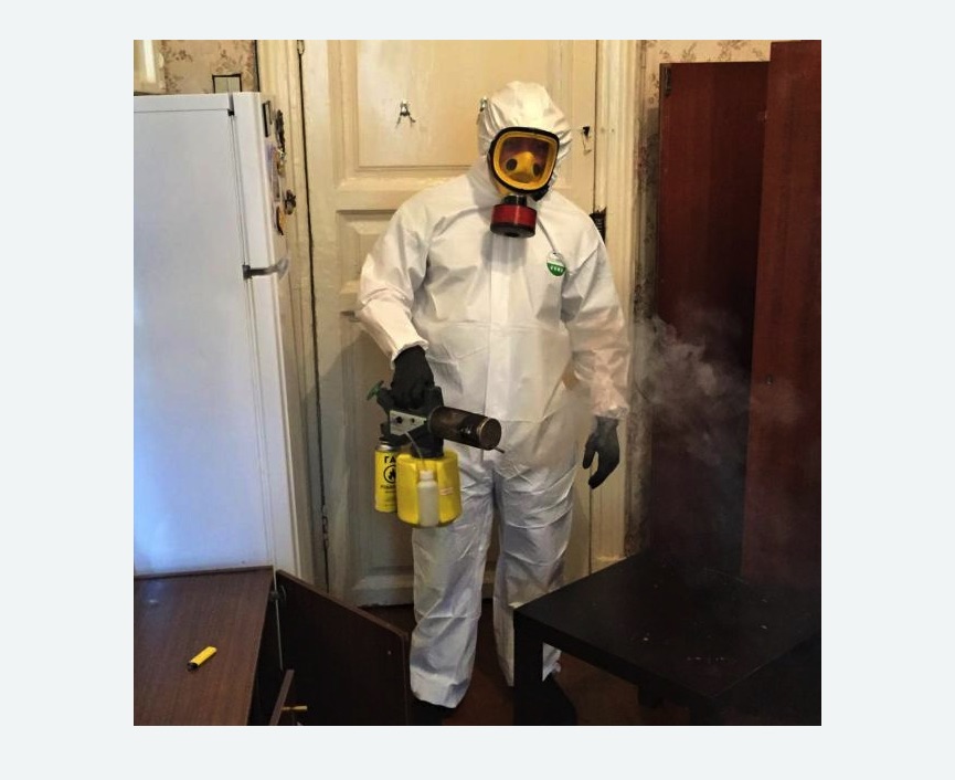 уничтожение муравьев в квартире в Камышине